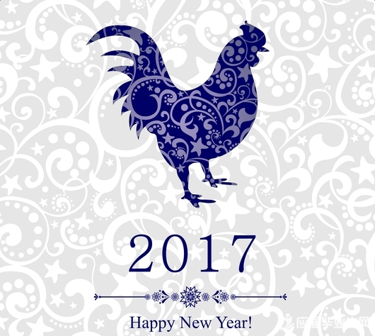 2017 Happy New Year ！
